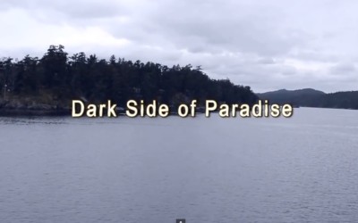 Dark Side of Paradise